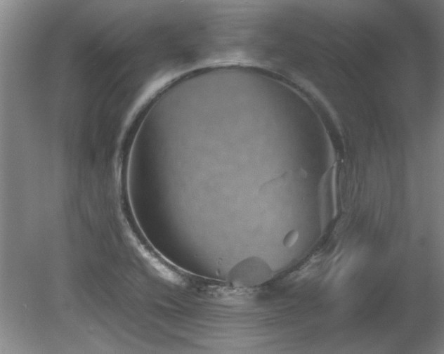 X0000082171416200701191256