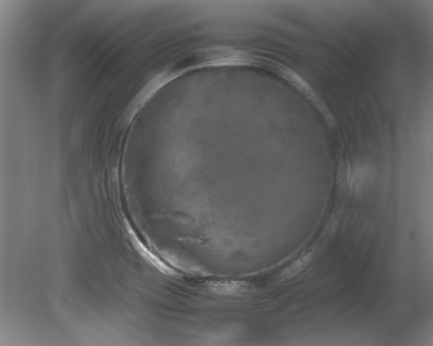 X0000082171417200701191256