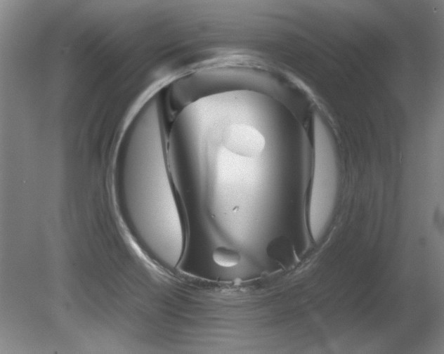 X0000082171418200701191256