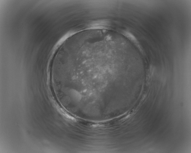 X0000082171419200701191256