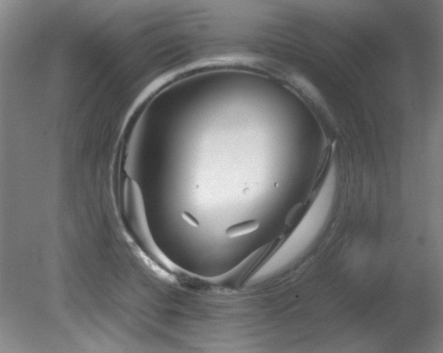 X0000082171420200701191256