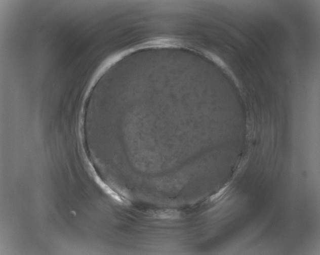 X0000082171421200701191256