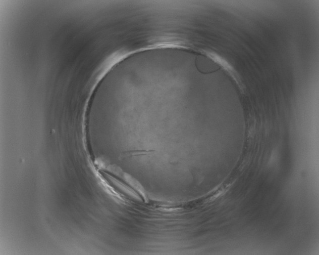 X0000082171423200701191256