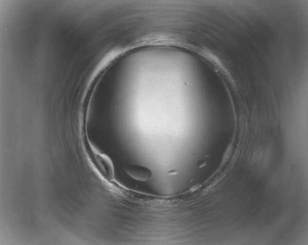 X0000082171424200701191256