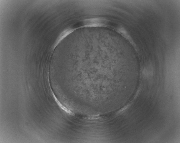 X0000082171425200701191256