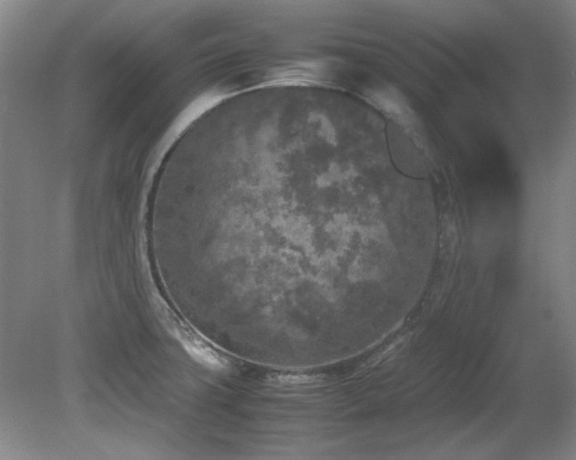 X0000082171427200701191256