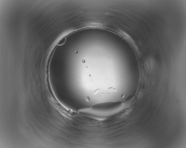 X0000082171435200701191256