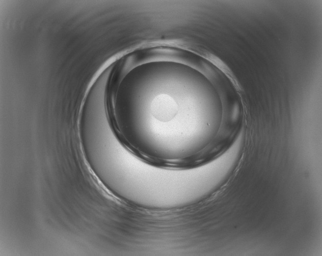 X0000082171436200701191256