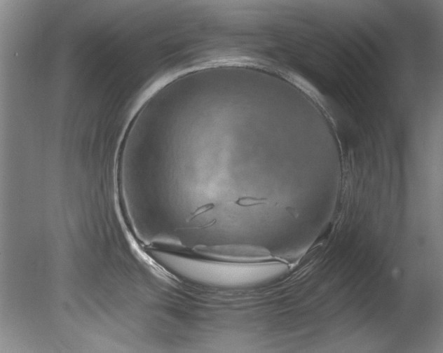 X0000082171439200701191256