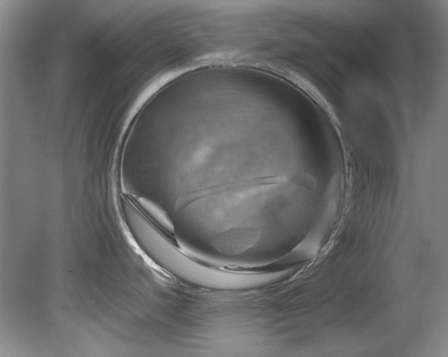 X0000082171440200701191256