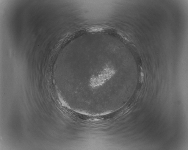 X0000082171441200701191255