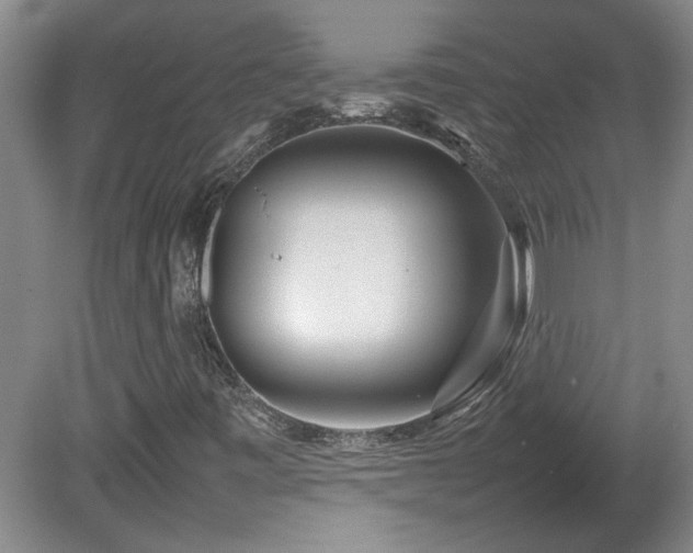 X0000082171443200701191255