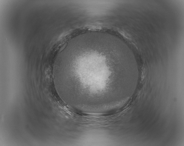 X0000082171445200701191255