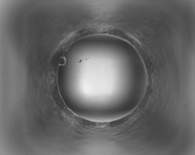 X0000082171447200701191255