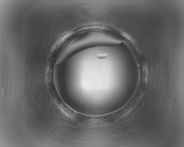 X0000082171448200701191255