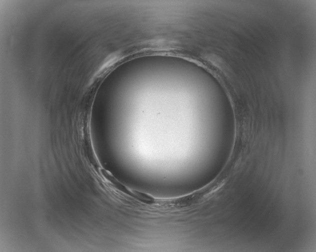 X0000082171451200701191255