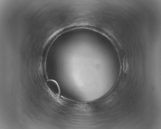 X0000082171452200701191255