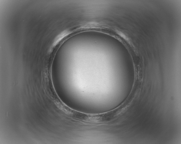 X0000082171453200701191255