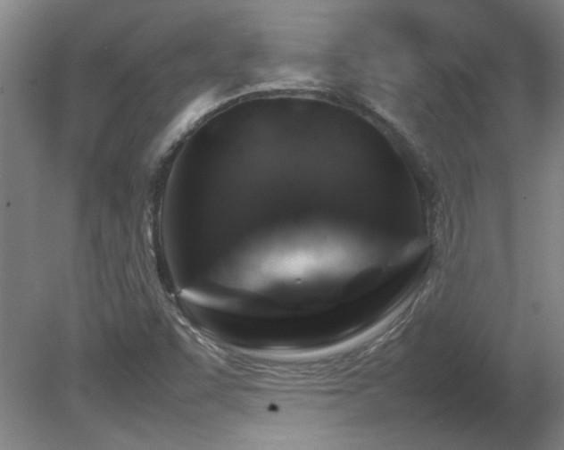 X0000082171455200701191255