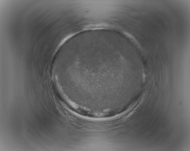 X0000082171457200701191255