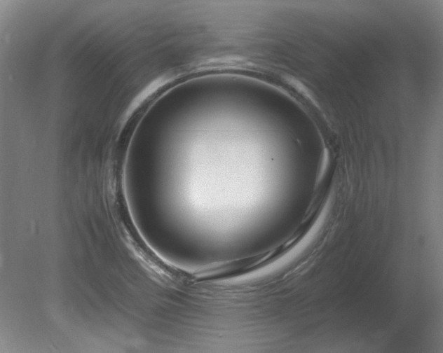 X0000082171458200701191255