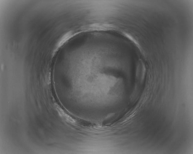 X0000082171459200701191255