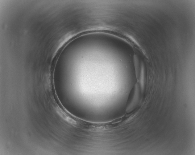 X0000082171460200701191255