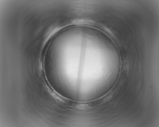 X0000082171462200701191255