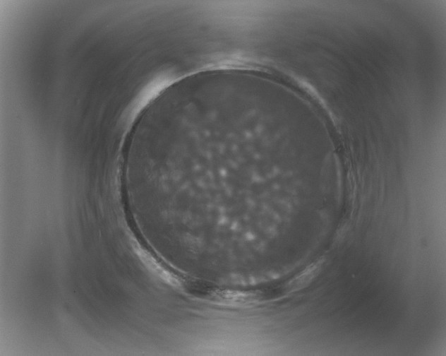 X0000082171463200701191255