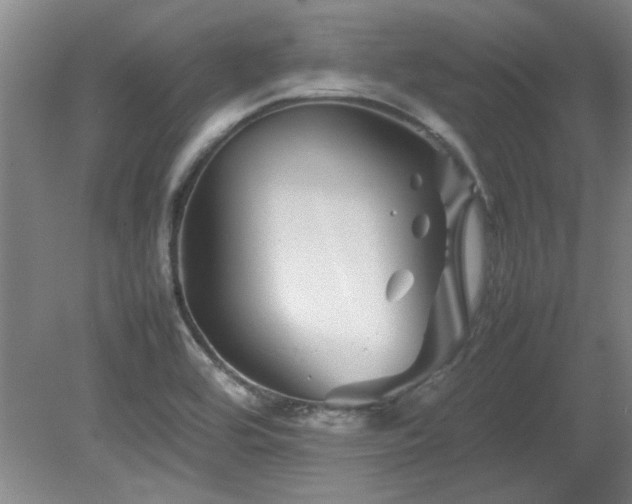 X0000082171464200701191255