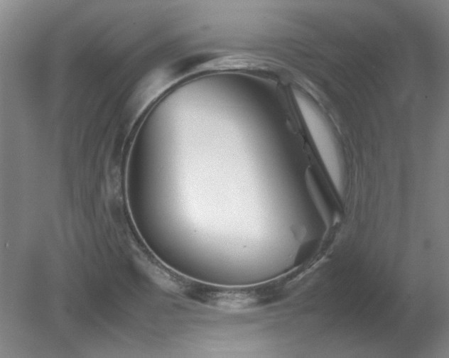 X0000082171465200701191255