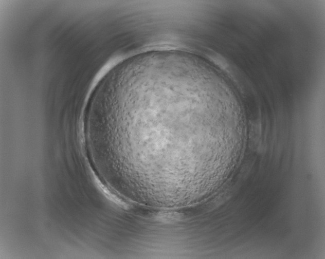 X0000082171466200701191255