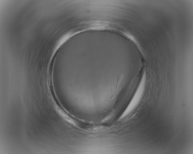 X0000082171467200701191255