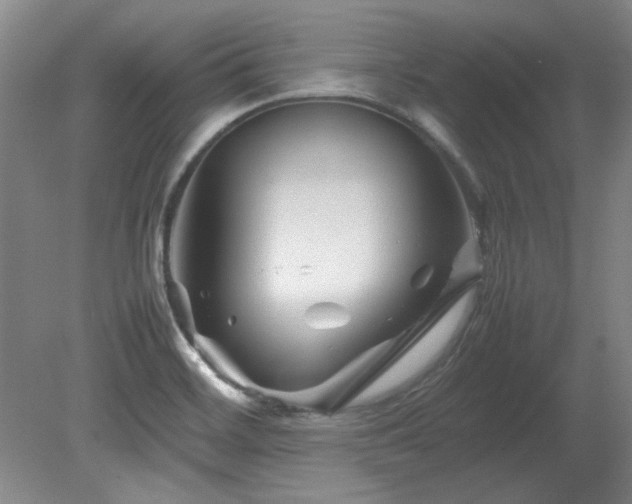 X0000082171468200701191255