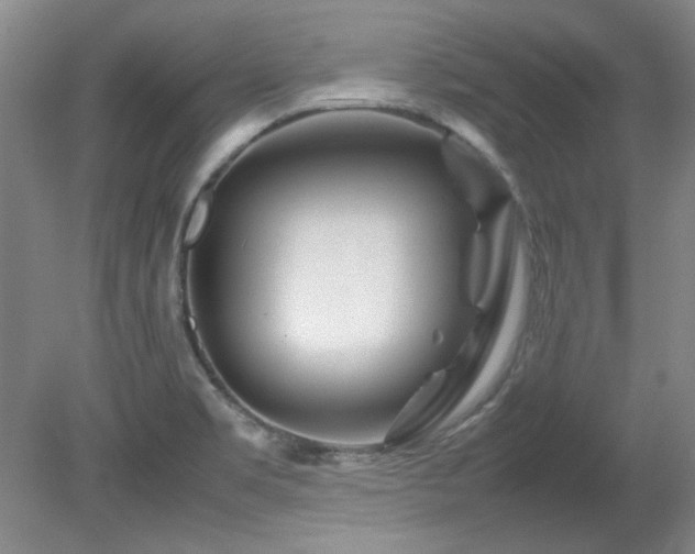 X0000082171469200701191255