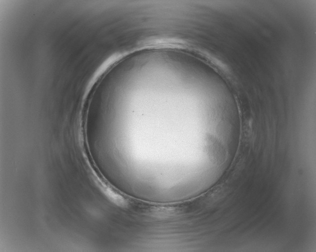 X0000082171470200701191255