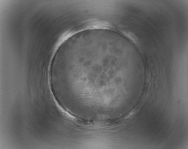 X0000082171471200701191255