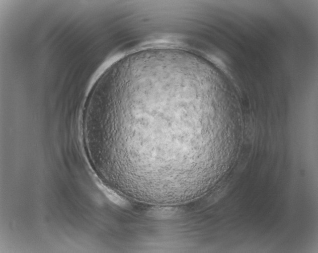 X0000082171474200701191255