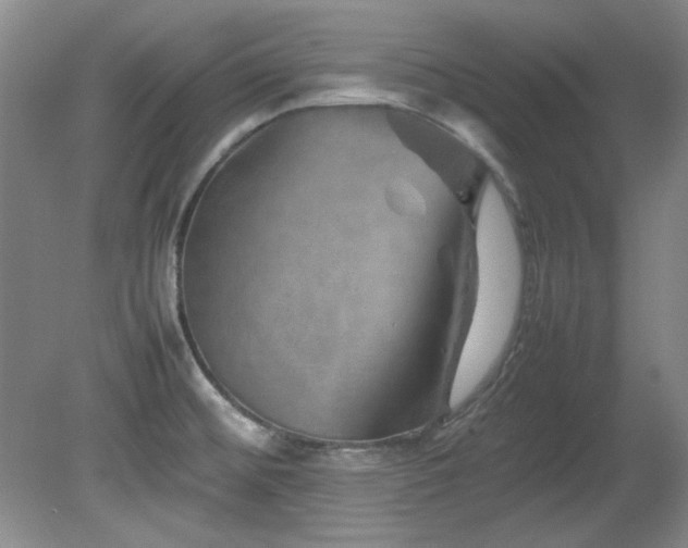 X0000082171476200701191255