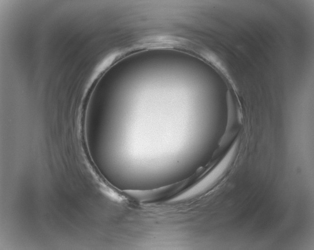 X0000082171477200701191255