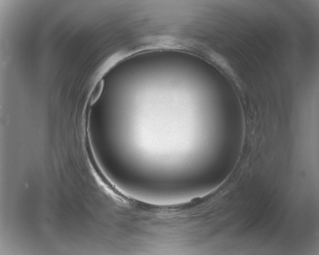 X0000082171479200701191254