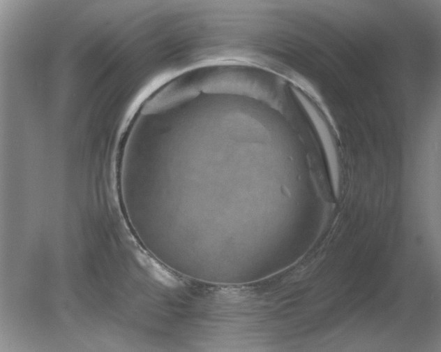 X0000082171480200701191254