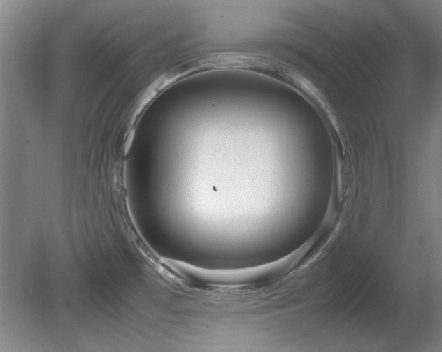 X0000082171481200701191254