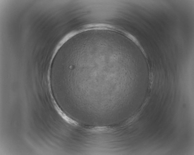 X0000082171482200701191254