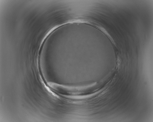 X0000082171484200701191254