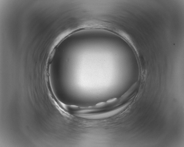 X0000082171485200701191254