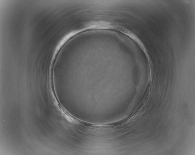 X0000082171488200701191254