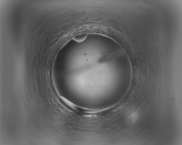 X0000082171489200701191254