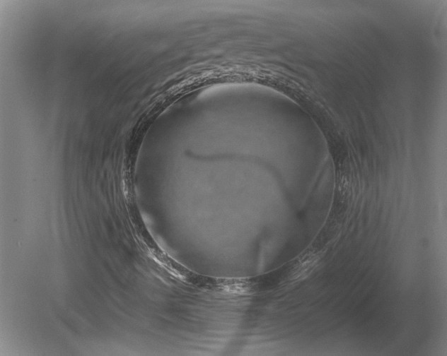 X0000082171490200701191254