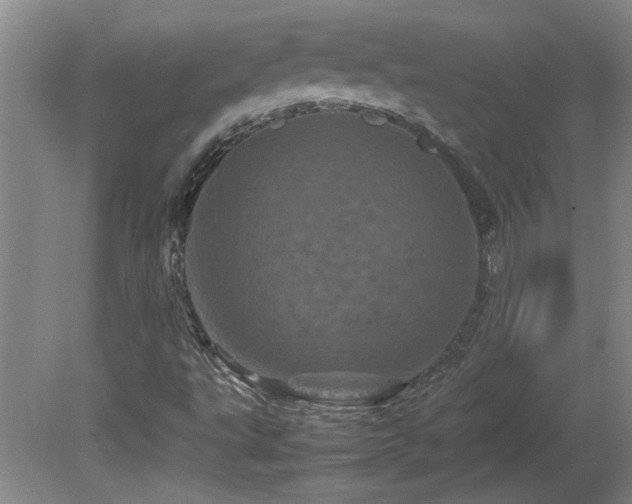 X0000082171495200701191254